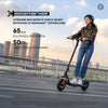 Ninebot KickScooter F2 Pro D II mit Straßenzulassung