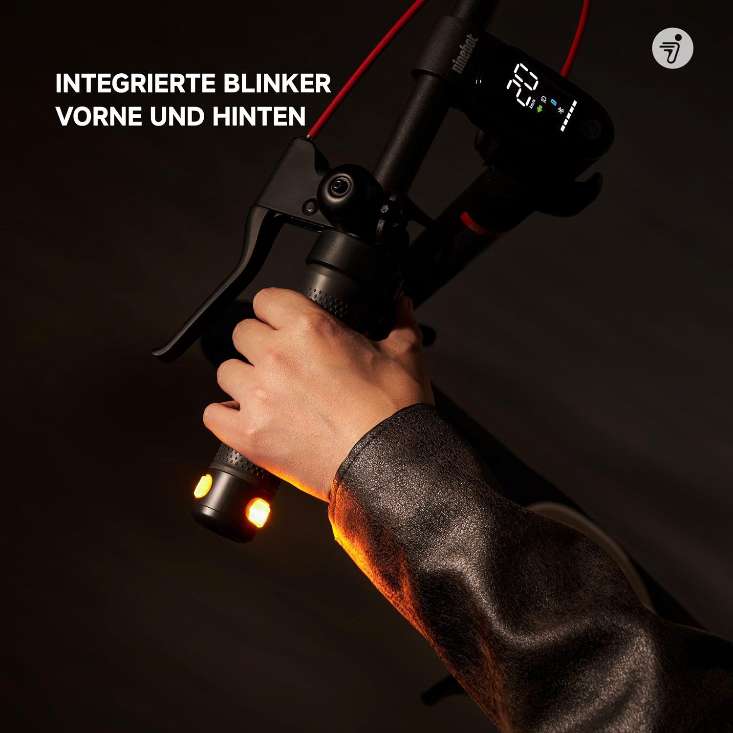 Ninebot KickScooter F2 Pro D II mit Straßenzulassung